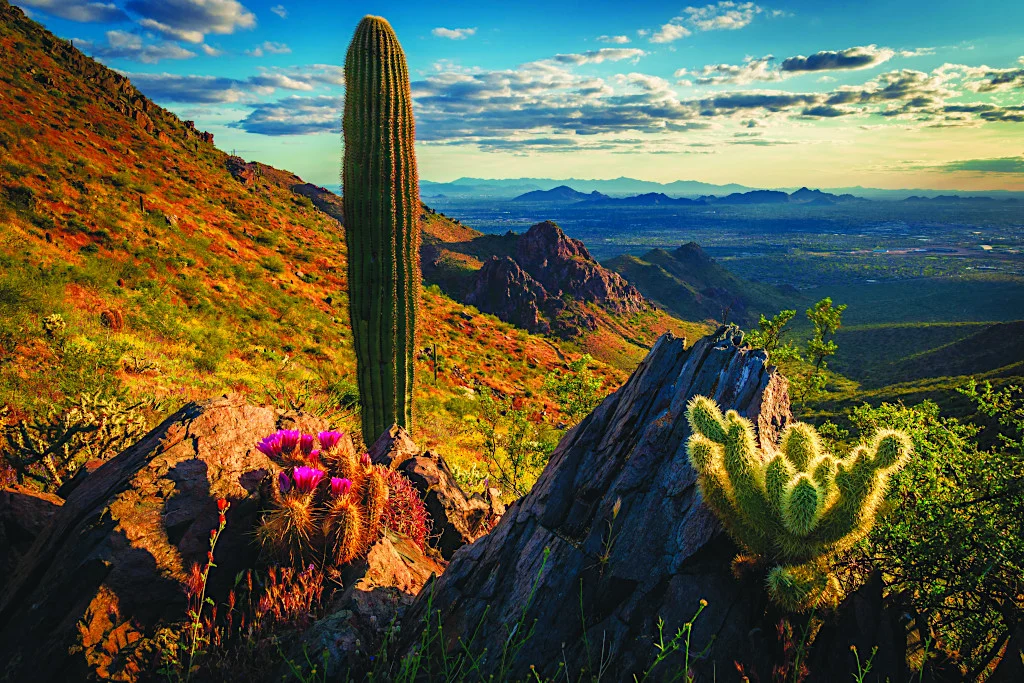Scottsdale Arizona landscape hard money financing for investors